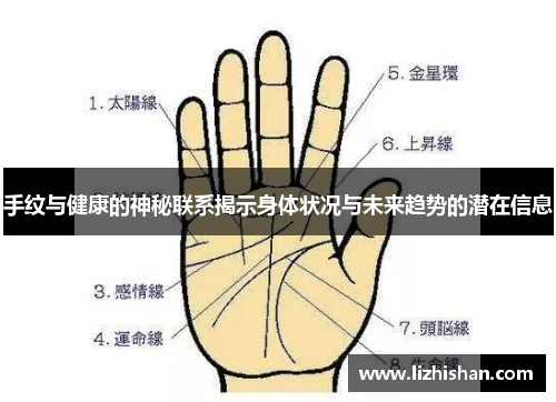 手纹与健康的神秘联系揭示身体状况与未来趋势的潜在信息